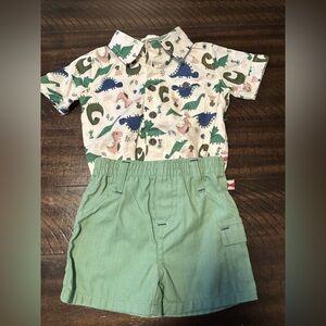 Dinosaur Print Kids Matching Set